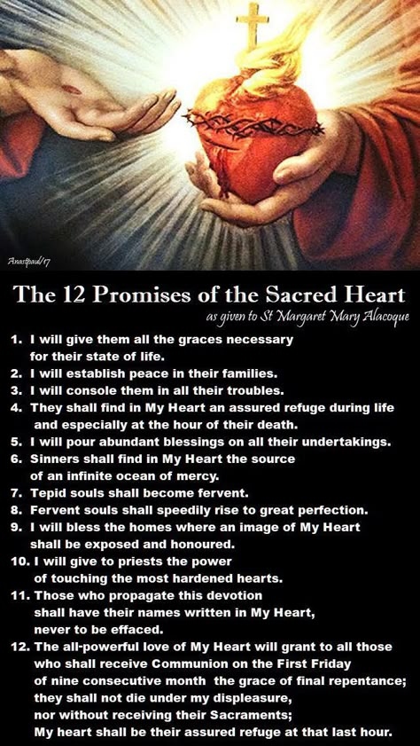 The Light of Faith — Quote/s of the Day – 7 October – The Memorial of... Sacred Heart Of Jesus And Immaculate Heart Of Mary, 12 Promises Of The Sacred Heart, St. Margaret Mary Alacoque, Sacred Heart Devotion, Margaret Mary Alacoque, St Margaret Mary, Saint Margaret, Catholic Prayers Daily, Catholic Beliefs