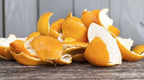 Using orange peel to deter pests – an organic way to regain control over your garden | Lifestyle | islandernews.com Orange Peel Tea, Orange Peels Uses, Best Indoor Trees, Orange Peels, Get Rid Of Ants, Orange Skin, Fly Repellant, Indoor Trees, Plant Images