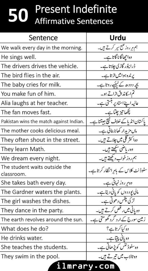 Present Simple Sentences, Present Indefinite Tense, English Past Tense, Simple Present Tense Worksheets, Simple English Sentences, Basic English Sentences, Sentence Activities, Phrases And Sentences, Simple Present Tense