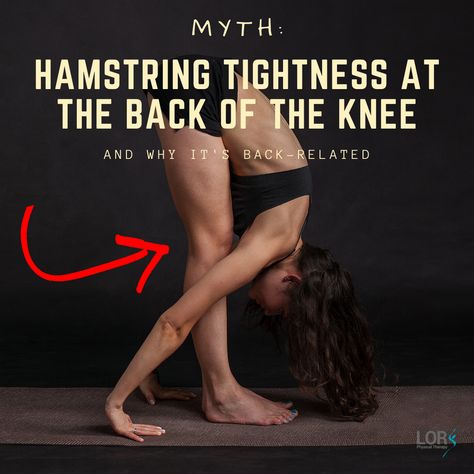 Hamstring Yoga, Torn Hamstring, Knee Pain Stretches, Muscle Belly, My Knee Hurts, Knee Pain Exercises, Tight Hamstrings, Hamstring Workout, Lower Back Pain Exercises