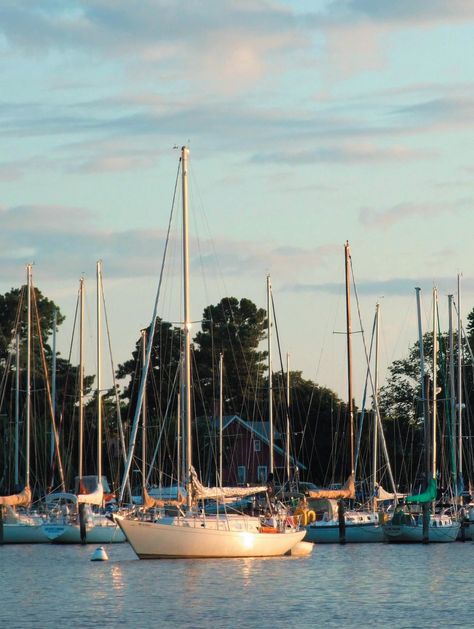 Chesapeake Bay Bridge, Crab House, Floating Dock, Senior Trip, Chesapeake Bay, Water Tower, Best Places To Eat, Tiki Bar, Bay Bridge