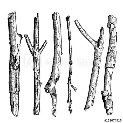 Set of detailed and precise ink drawing of wood twigs, forest collection, natural tree branches, sticks, hand drawn driftwoods forest pickups bundle. Rustic design, classic drawing elements. Vector. - Buy this stock vector and explore similar vectors at Adobe Stock Twig Drawing, Pencil Sketches Landscape, Micron Pen Art, Branch Drawing, Stick Tattoo, Stick Drawings, Tree Sketches, Tree Drawing, Drawing Easy