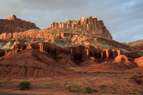 Great Basin Desert, Rendering Reference, Capital Reef National Park, Desert Scenes, Environment Reference, Deserts Of The World, Great Basin, Daily Sketch, Desert Landscaping