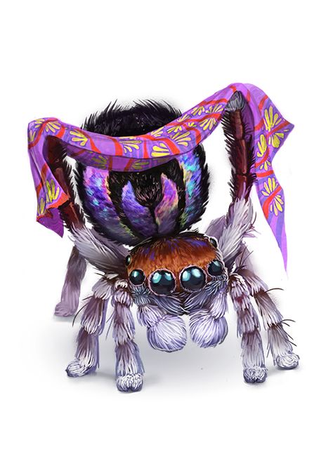 Jumping Spider Cute, Illusion Magic, Peaceful People, Evelynn League Of Legends, Jumping Spiders, Pathfinder 2e, Dragons 5e, Dungeons And Dragons 5e, Spider Art