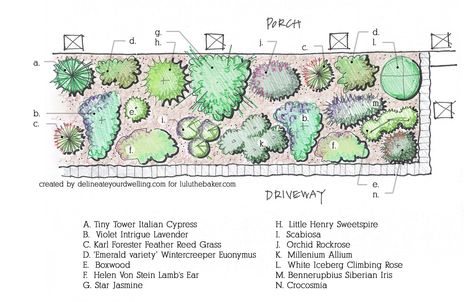 mediterranean-inspired front yard landscape design plan with plant names and locations Mediterranean Landscape Design, Front Yard Landscape Design, Mediterranean Garden Design, Landscape Architecture Plan, Front Yard Landscape, Garden Hedges, Plant Names, Landscape Architecture Drawing, Yard Landscape