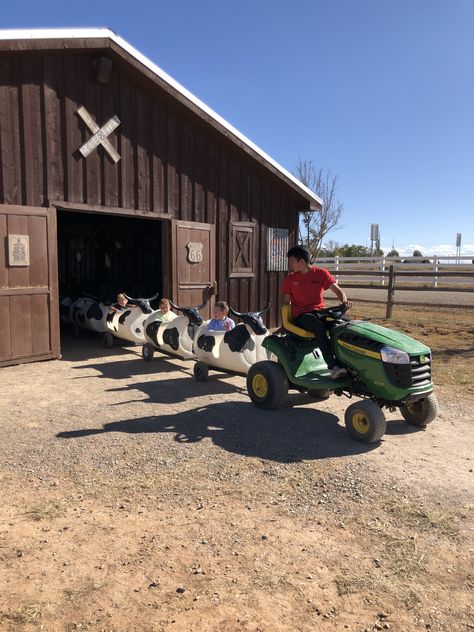 Kids Outside Play Area, Tractor 2nd Birthday, Petting Zoo Ideas, Farm Playground, Petting Zoo Birthday Party, Outside Play Area, Agro Tourism, Mini Farm Animals, Petting Zoo Party