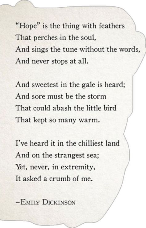 Poem by Emily Dickinson Emily Dickinson Quotes, Dickinson Poems, Emily Dickinson Poems, Hope Is The Thing With Feathers, Terry Pratchett, Emily Dickinson, Hope Is, Love Poems, The Thing