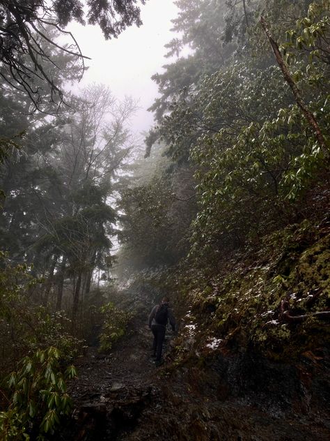 hiking, hiking aesthetic, mt leconte, tennesee, travel, aesthetic, photography, inspo, inspiration, travel aesthetic, backpacking, forest, mountains, nature, dark green aesthetic, escape Dark Hiking Aesthetic, Dark Adventure Aesthetic, Httyd Shifting, Hazel Aesthetic, Shifting Aesthetic, Mt Leconte, Relaxing Pictures, Adventure Core, Ireland Aesthetic