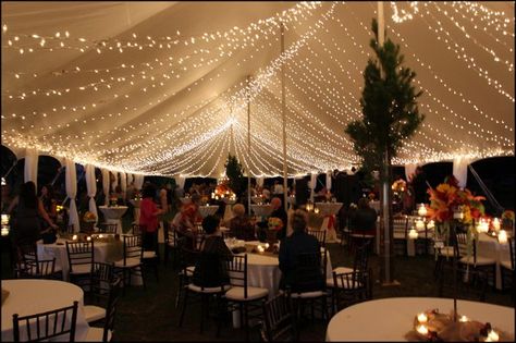 <3 Tent Lighting Ideas, Party Tent Lighting, Pool Lanai, Lanai Lighting, Wedding Tent Lighting, Marquee Lighting, Tent Ceiling, Tent Weddings, Market Lights