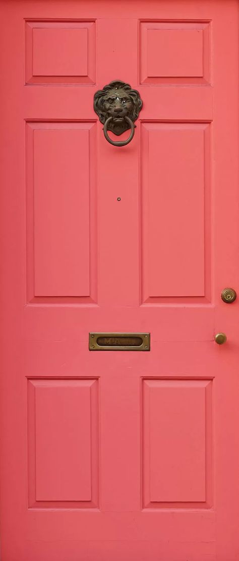 Dishy Coral Front Door, Colorful Exterior Doors, Pink Front Doors, Front Door Paint Ideas, Door Paint Ideas, Colorful Front Door, Fromt Doors, Coral Front Doors, Exterior Refresh