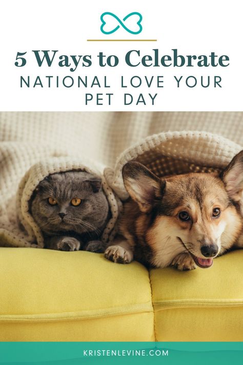 Showing love to our fur family means more than tummy rubs and kisses. Read these five ways to show your pet you love them. #loveyourpetdaynational #petlover #petlove #loveyourpet #nationalloveyourpetday February Home Decor, Papillion Puppies, National Love Your Pet Day, Love Your Pet Day, Shopify Sales, Cat Parents, National Pet Day, February 2025, Showing Love