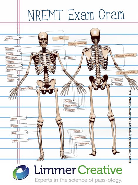 Free NREMT study guide to learn what you REALLY need to know. Emt Study Guide, Paramedic Student Studying, Emt Basic Study Cheat Sheets, Nremt Study Tips, Nremt Emt Study Guide, Advanced Emt Study, Nremt Study Guide Test Prep, Emt Study Notes, Emt Worksheets