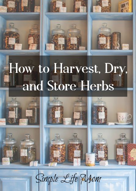 Bulk Herb Storage Ideas, How To Store Dried Herbs, Herbal Store Ideas, How To Store Herbs, How To Dry Herbs, Herb Storage Ideas, Herbal Storage, Farm Store Ideas, Herb Pantry