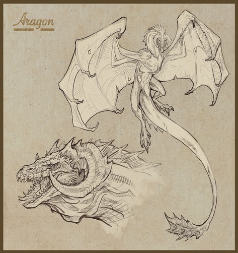 Realistic Dragon, Types Of Dragons, Dragon Artwork Fantasy, Targaryen Art, Monster Drawing, Dragon Sketch, Gra O Tron, Fantasy Beasts, Gambar Figur