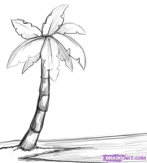 Palm Tree Sketch, Palm Tree Drawing, Draw Tutorial, Tree Drawings Pencil, Beach Drawing, Flower Step By Step, Tree Sketches, Drawing Faces, Sketches Simple