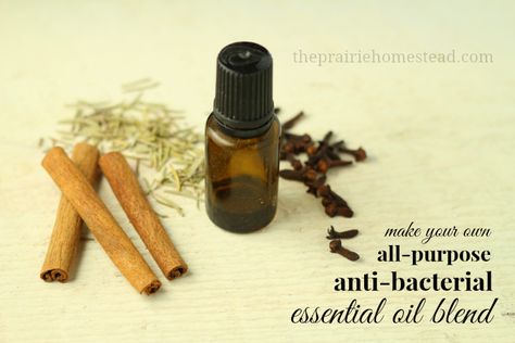 DIY All-Purpose Anti-Bacterial Essential Oil Blend Thieves Oil Recipe, The Prairie Homestead, Antibacterial Essential Oils, Prairie Homestead, Cinnamon Bark Essential Oil, Thieves Oil, Thieves Essential Oil, Clove Essential Oil, Essential Oils Herbs