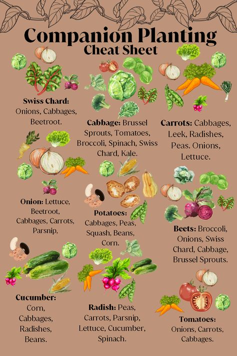 Taman Diy, Garden Companion Planting, Vegetable Garden Planning, Vegetable Garden Diy, Veg Garden, Home Vegetable Garden, Have Inspiration, Container Gardening Vegetables, Vegetable Garden Design