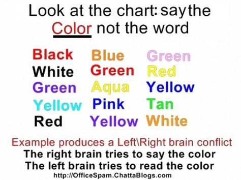 Photo Courtesy of Officespam Left Brain Right Brain, Brain Mapping, Left Brain, Vision Therapy, Brain Anatomy, Brain Gym, Physical Education Games, Brain Exercise, Right Brain