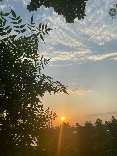 #sunrise #clouds #aesthetic #pinterest #aestheticedits #trees Morning Sunrise Aesthetic, Sunrise Clouds, Sunrise Aesthetic, Clouds Aesthetic, Morning Sunrise, Aesthetic Pinterest, New Beginnings, Good Morning, Trees