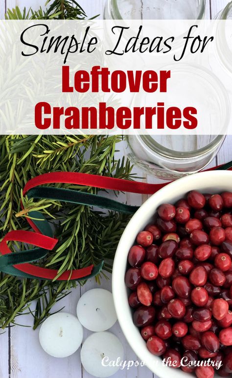 simple ideas for leftover cranberries Cranberry Crafts, Cranberry Uses, Diy Christmas Ideas, Healthy Thanksgiving, Cranberry Sauce Homemade, Simple Centerpieces, Cranberry Recipes, Christmas Projects Diy, Arugula Salad