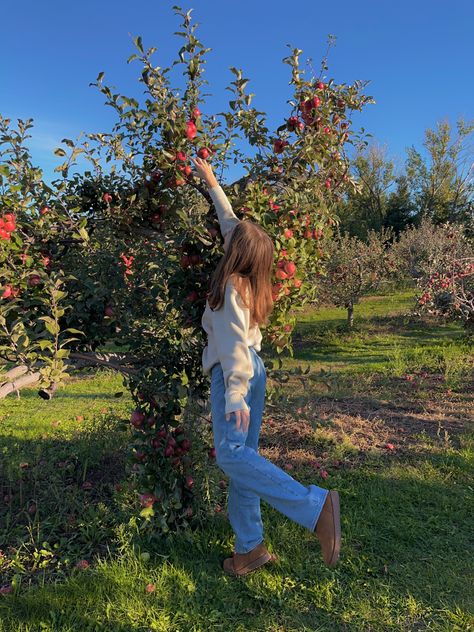 apple orchard photo shoot pumpkin sweaters idea Apple Picking Inspo Pics, Apple Hill Photoshoot, Cute Apple Picking Photos, Apple Orchard Picture Ideas, Fall Apple Orchard Photo Shoot, Apple Orchard Poses, Pumpkin Patch Photoshoot Ideas, Apple Picking Captions For Instagram, Apple Picking Poses