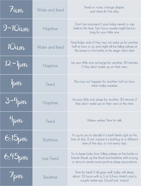 6month Sleep Schedule, 3 Month Old Formula Feeding Schedule, 2month Old Baby Schedule, Feeding Schedule For 2 Month Old, 0-3 Month Sleep Schedule, One Month Schedule, 1 Month Old Schedule Baby, 2 Month Old Feeding Schedule, 1 Month Feeding Schedule