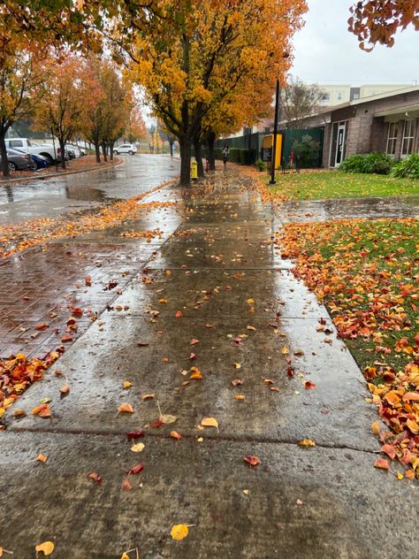 Autumn Rainy Days, Rainy October Day, Rainy Fall Weather, Summer Into Fall Aesthetic, Autumn Weather Aesthetic, Rainy Halloween Aesthetic, Rainy Walk Aesthetic, Autumn Cozy Rainy Days, Rainy Fall Day Autumn Rain