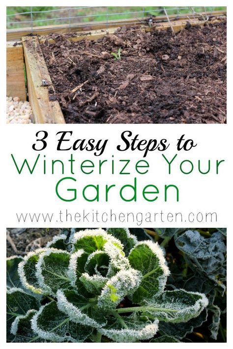 Winterizing Raised Garden Beds, Winterize Garden, Fall Gardening, Container Garden Design, Herb Garden Design, Herb Gardening, Survival Gardening, Green Things, Summer Vegetable