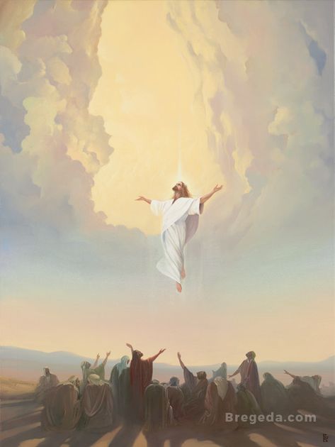 Resurection Jesus Art, Jesus Ascending Into Heaven, Ascension Day Of Jesus Christ, Gospel Pictures, Paintings Of Jesus, Jesus In Heaven, Jesus Christ Wallpaper, Jesus Ascension, The Ascension Of Jesus