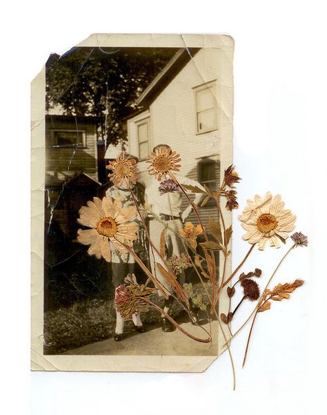 A House, Collage, Flowers