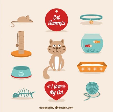 Cat Elements, 81st Birthday, Domestic Cat Breeds, Pusheen Cute, Banner Drawing, Sam And Cat, Valentine Cupid, Pet Cats, Nocturnal Animals