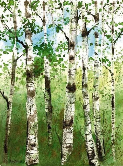 Summer Birches Birch Trees Painting, Birch Tree Art, Trees Painting, Summer Trees, Birch Trees, Tree Forest, Birch Tree, Tree Print, Watercolor Cards