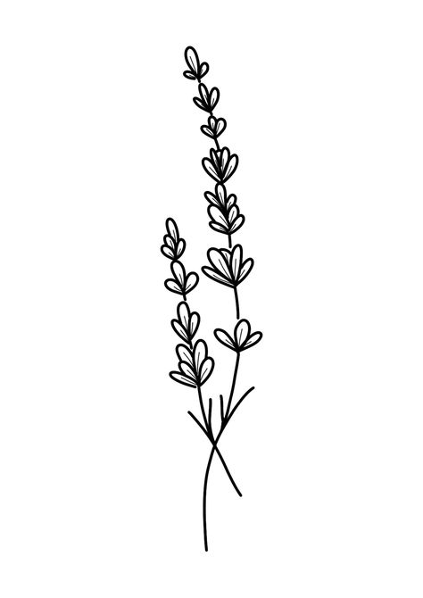 Linework of a lavender plant.  Digital print.  Great for decorating clean, calm, simple spaces.