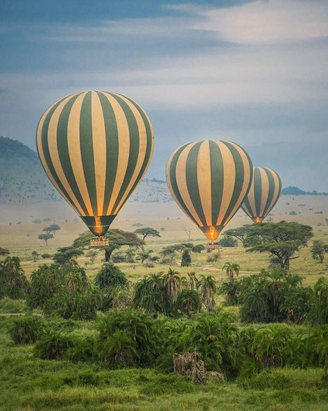 Luxury African Safari, Zanzibar Travel, Safari Vacation, Kenya Travel, Tanzania Africa, Balloon Flights, Kenya Safari, Serengeti National Park, Air Balloon Rides