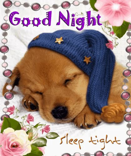 Good Night Snoopy, Funny Good Night Images, Sweet Dreams Sleep Tight, Good Night Funny, Good Night Sleep Tight, God Natt, Cute Good Night, Slaap Lekker, Good Night Prayer