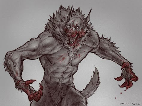 Werewolf Sketch, Taran Fiddler, Werewolf Drawing, Werewolf Aesthetic, Fantasy Wolf, Werewolf Art, Creature Artwork, Creature Concept Art, Arte Fantasy