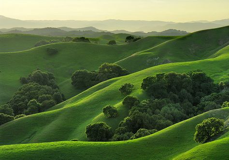 The rolling hills of California (Briones Regional Park in his hometown Contra Costa County). Broccoli Meal, California Hills, Rain Fall, Contra Costa County, Sun Shine, Hypnotherapy, Rolling Hills, Early Spring, Aesthetic Backgrounds