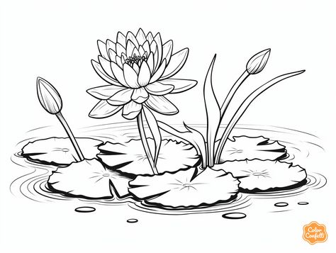 illustration of Lily-pad coloring for tranquility Water Lilly Drawing Flowers, Lilly Pad Drawings, Lillypads Drawing, Water Lilies Drawing, Lily Pads Drawing, Lilypad Drawing, Lily Pad Drawing, Water Lily Drawing, Sketching Flowers