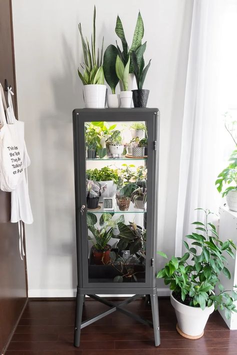 Ikea Glass Cabinet, Ikea Fabrikor, Ikea Greenhouse Cabinet, Greenhouse Cabinet, Ikea Greenhouse, Ikea Plants, Indoor Greenhouse, Grow Lights For Plants, Plant Hacks