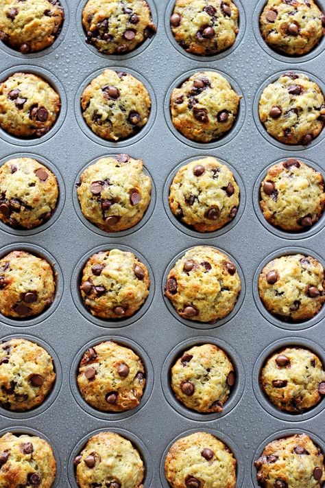 Mini Banana Chocolate Chip Muffins - perfect for lunchboxes and little hands, these mini muffins are packed full of banana chocolate goodness! | thekiwicountrygirl.com Mini Banana Chocolate Chip Muffins, Banana Choc Chip Muffins, Mini Muffin Tin Recipes, Mini Banana Muffins, Choc Chip Muffins, Oatmeal Chocolate Chip Muffins, Mini Chocolate Chip Muffins, Mini Bananas, Chocolate Banana Muffins