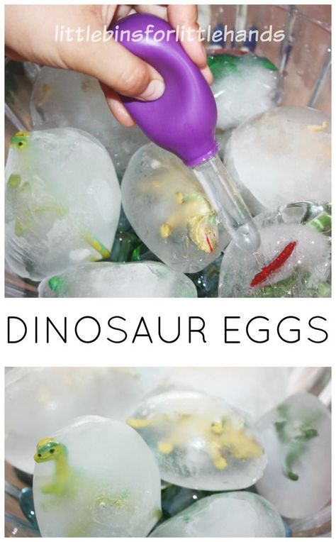 Easy to make frozen dinosaur eggs for ice melt science and sensory play. Frozen dinosaur eggs are simple to set up and provide hours of play and learning! Frozen Dinosaur Eggs, Maluchy Montessori, Dinosaurs Preschool, Dino Eggs, Dinosaur Activities, Dinosaur Crafts, Dinosaur Eggs, Aktivitas Montessori, Preschool Science