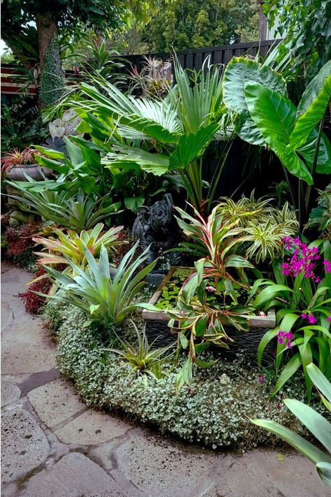 Tropical flowerbed along  fence Caribbean Garden Ideas, Flowerbed Along Fence, Tropical Garden Bed, Backyard Tropical Oasis Ideas, Tropical Courtyard Garden, Florida Plants Landscaping, Indoor Garden Decor, Garden Jungle, Tropical Gardening