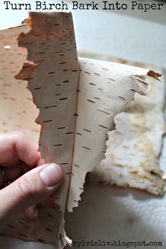 Do you have birch trees near your home?   Did you know you can easily use their bark as paper?     Birch bark is so neat, and makes a rea... Birch Crafts, Bark Jewelry, Birch Decor, Tree Bark Crafts, Nature Challenge, Diy Trees, Bark Idea, Crafting Witch, Bark Crafts