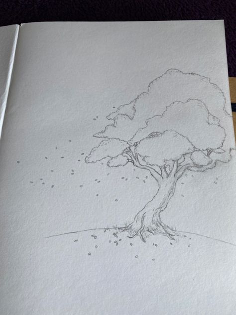 How To Draw A Sakura Tree, Cherry Tree Drawing Easy, Cherry Blossom Drawing Pencil, Branch Tree Drawing, Scenery Sketch Landscapes Pencil Drawings Easy, Sakura Tree Drawing Easy, Blossom Tree Drawing Pencil, Detailed Tree Drawing, Cherry Blossom Tree Drawing Pencil