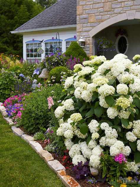 . Annabelle Hydrangea, Hydrangea Bloom, Most Beautiful Gardens, Have Inspiration, Hydrangea Flower, Gorgeous Gardens, Flowers Perennials, Decor Minimalist, Landscape Projects