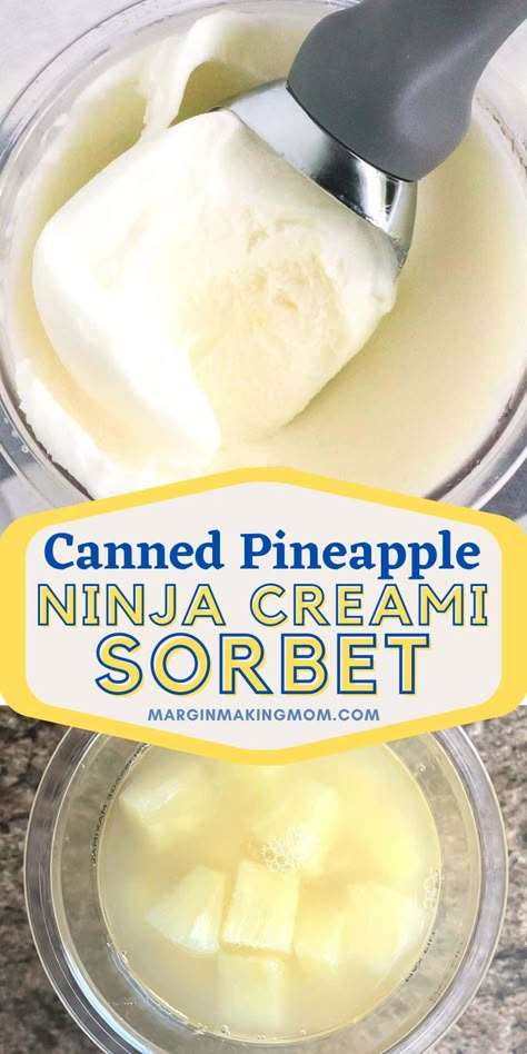 Ninja Creami Pineapple Sherbet, Desserts That Wont Melt Outside, Ninja Creami Watermelon Sherbert, Pineapple Sorbet Ninja Creami, Pineapple Ninja Creami, Pineapple Ninja Creami Recipe, Ninja Creami Breakfast, Ninja Icream Recipes, Ninja Creami Fruit Sorbet