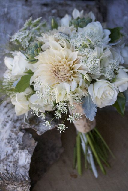 Cafe Au Lait Dahlia Bouquet, White Dahlia Bouquet, Burgundy Scabiosa, Yellow Craspedia, Wisteria White, Dahlia Bridal Bouquet, Dahlia Flower Arrangements, Champagne Spray, Dahlia Wedding Bouquets