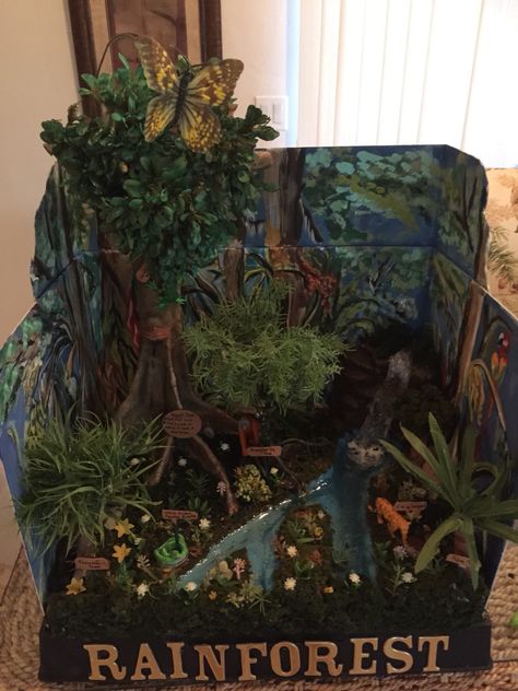 Sophias diorama rain forest Rain Forest Diorama, Ecosystems Diorama, Endangered Animals Project, Habitat Activities, Biomes Project, Rainforest Project, Rainforest Biome, Diorama Kids, Ecology Projects