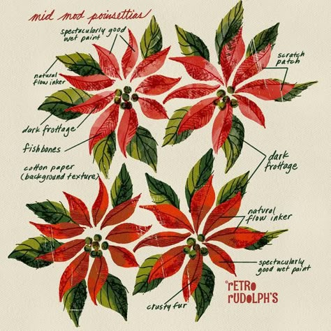 Poinsettia Drawing, Poinsettia Illustration, Poinsettias Flowers, Watercolour Christmas, Flowers Simple, National Lampoons Christmas Vacation, Illustrator Illustration, Illustrators On Instagram, Mid Mod