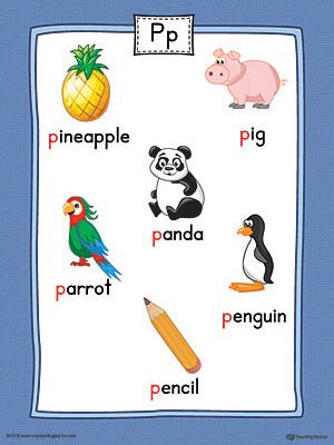 Letter P Word List with Illustrations Printable Poster (Color) Worksheet.Use the Letter P Word List with Illustrations Printable Poster to play letter sound activities or display on a classroom wall. P Words Letter, Letter Pictures, Letter Activity, Beginning Letter Sounds, Letter Sound Activities, Alphabet Board, Kindergarten Coloring Pages, Alphabet Words, The Letter P